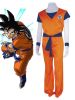Dragon Ball Kakarotto Costume
