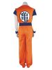 Dragon Ball Kakarotto Costume