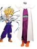 Dragon Ball Son Gohan Piccolo Lord Costume