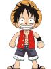 One Piece Luffy Costume Set